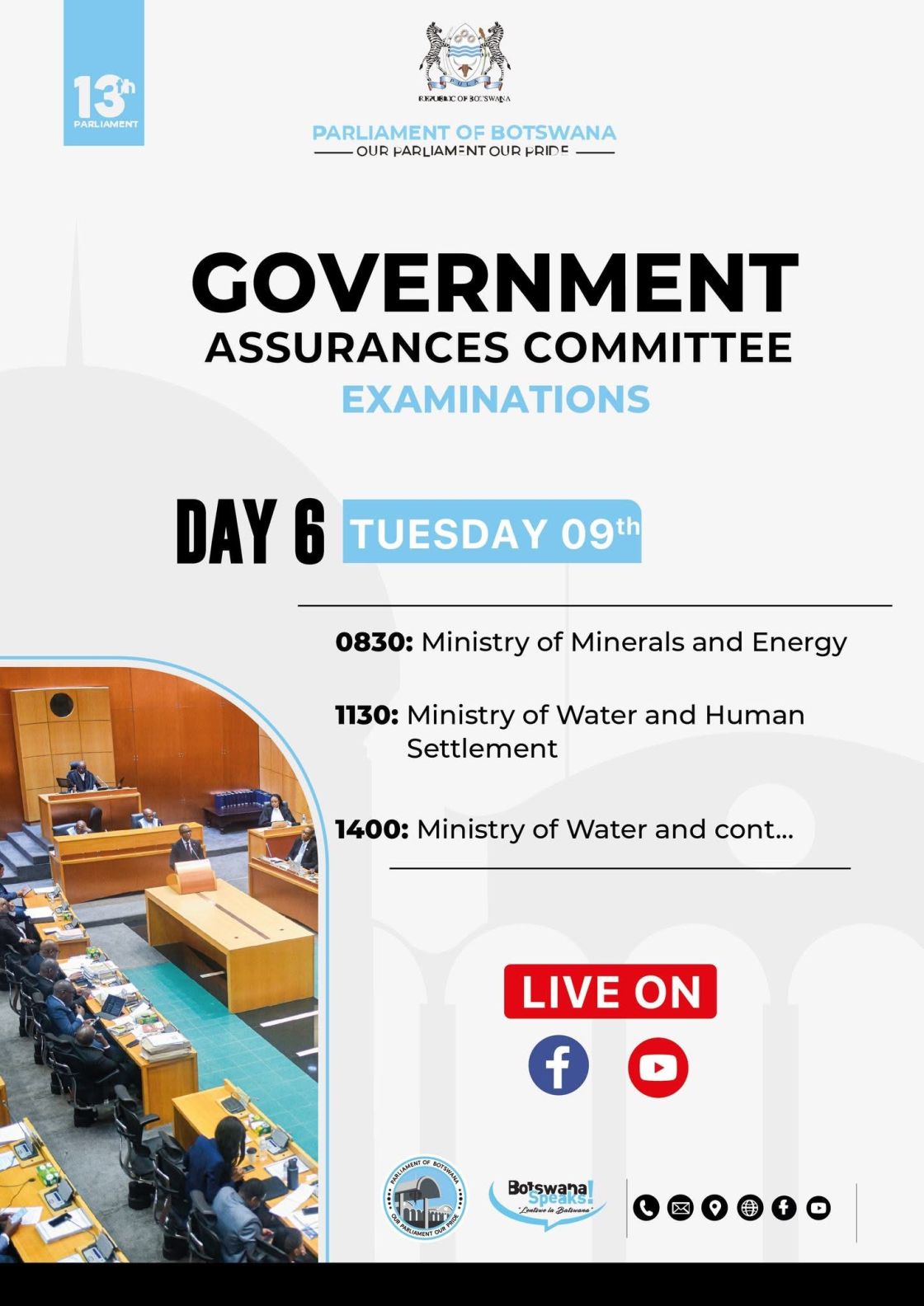 GOVERNMENT ASSURANCES COMMITTEE